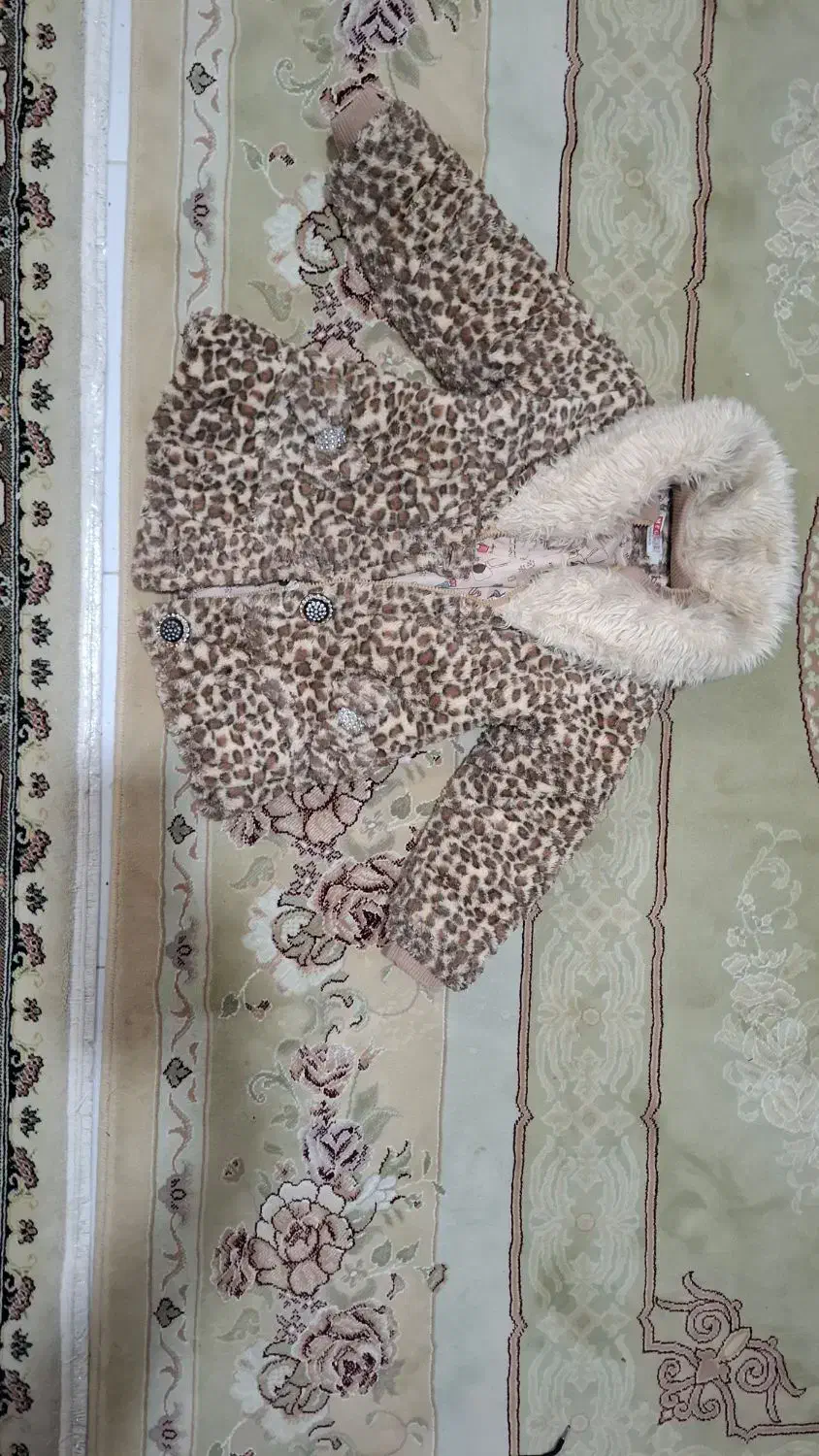 پالتو پلنگی|لباس|سمنان, |دیوار