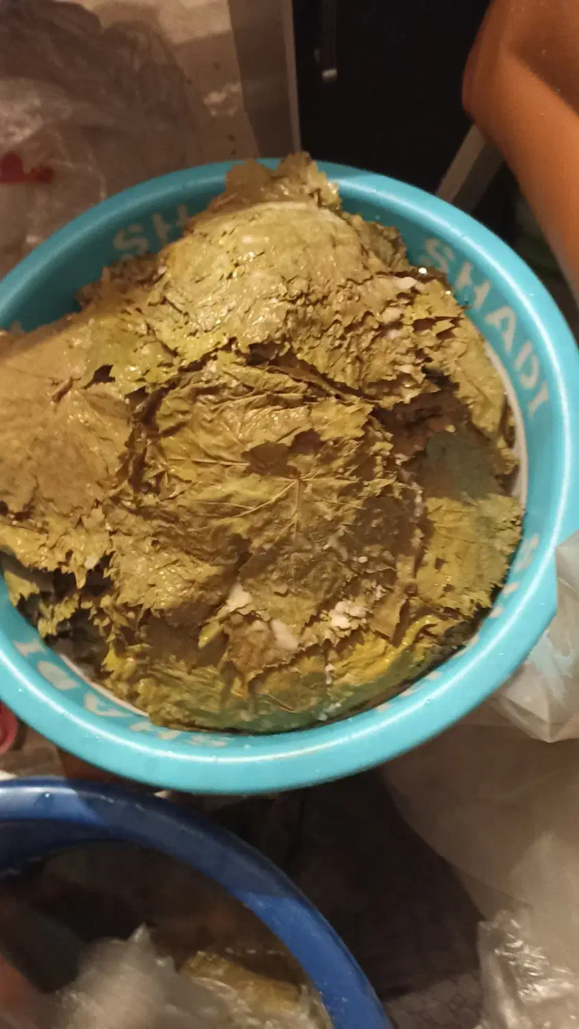 فروش برگ انگور شور (برگ شوراب)|خوردنی و آشامیدنی|مشگین شهر, |دیوار