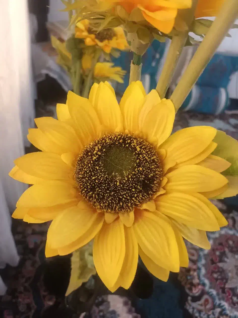 گل زیبای آفتاب گردون|گل مصنوعی|یاسوج, |دیوار