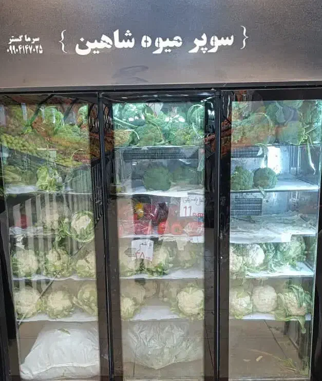 فروش یخچال مغازه|فروشگاه و مغازه|شیراز, چوگیاه|دیوار