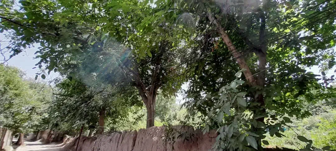 باغ زمین روستای گیو طینوج دستجرد|فروش زمین و ملک کلنگی|قم, قلعه یزدیها|دیوار