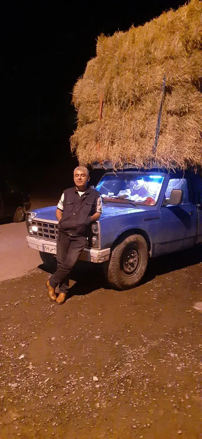 کاه یا سرچینه|لوازم جانبی حیوانات|تالش, تالش|دیوار