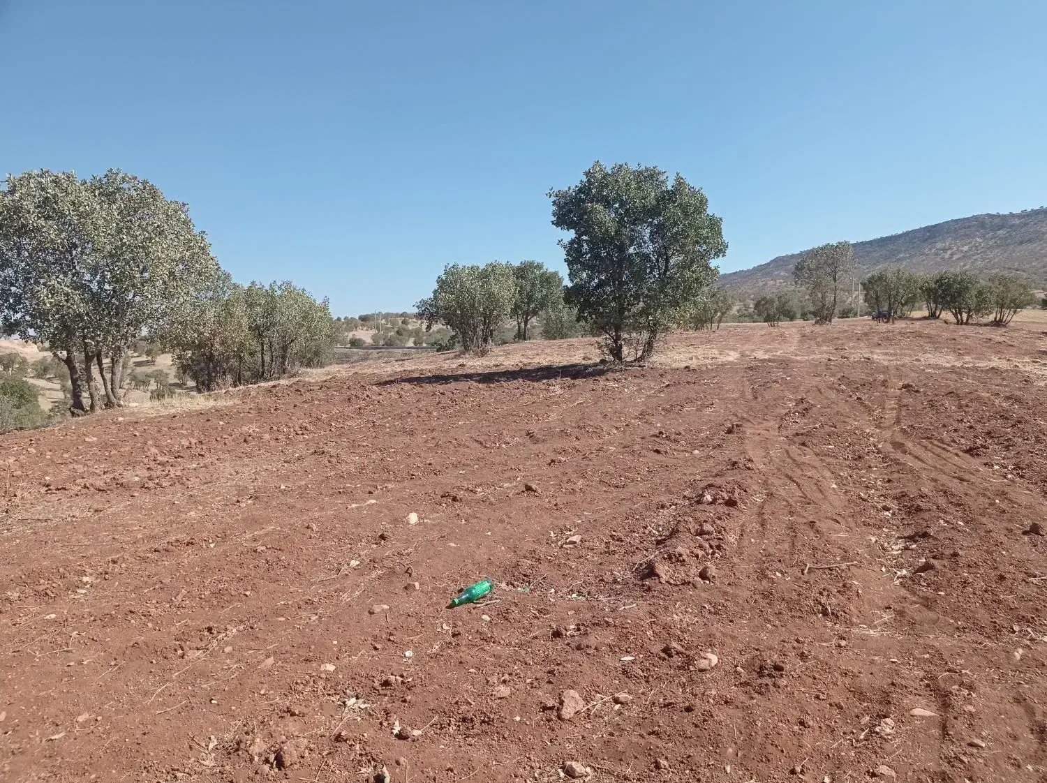 فروش فوری ۳/نیم هکتارزمین بهرجاده خرم آباد کوهدشت|فروش زمین و ملک کلنگی|کوهدشت, |دیوار