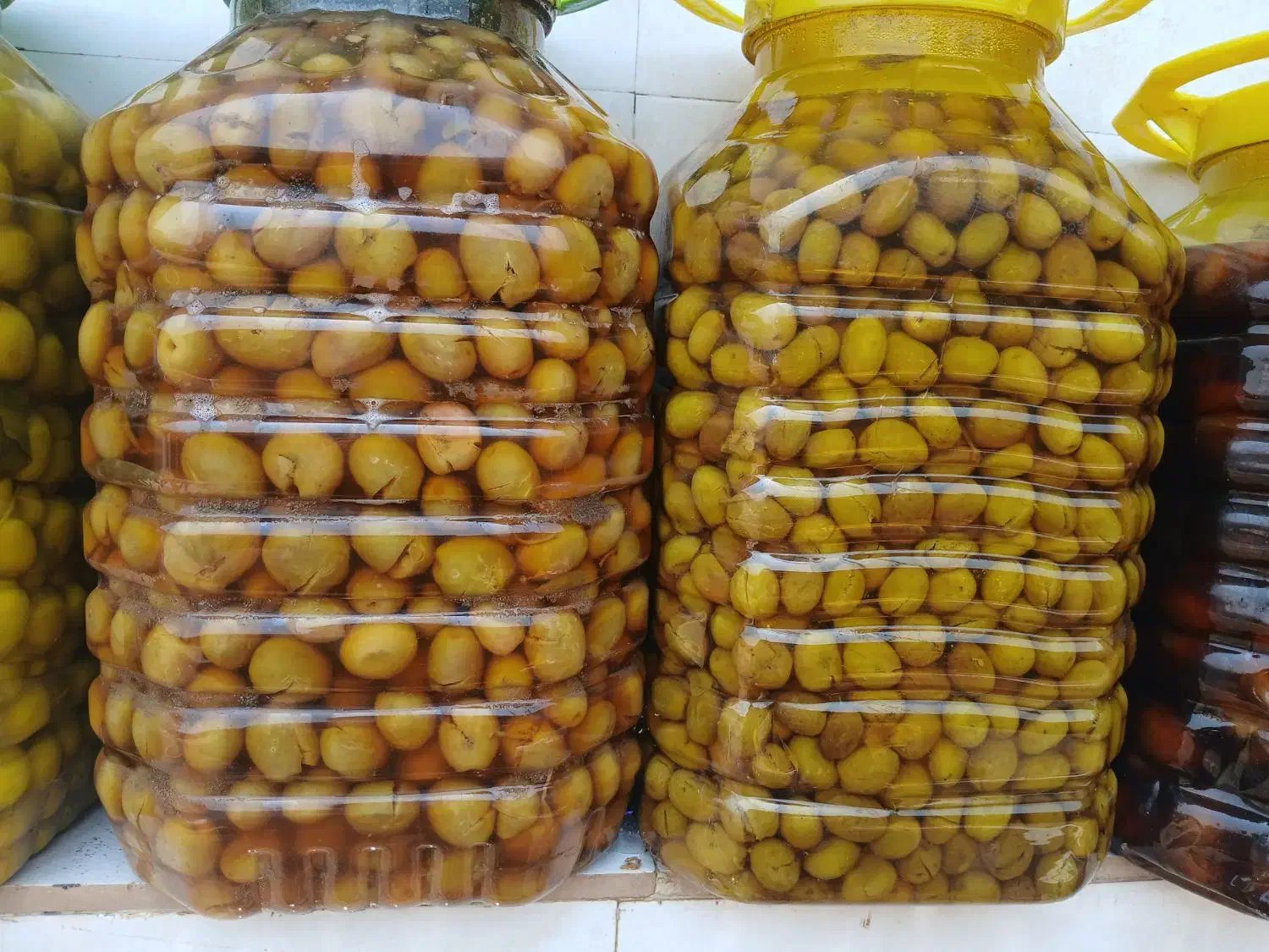 کلکسیون زیتون|کلکسیون و سرگرمی|رودبار, |دیوار