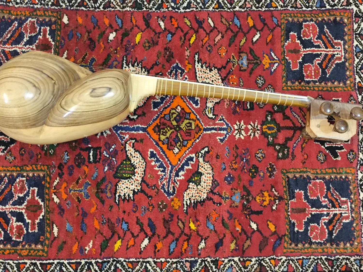 تار موسیقی|سازهای سنتی|جهرم, |دیوار