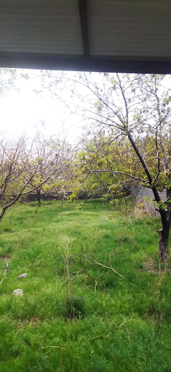 خانه باغ دهبکری،1150متر(سند تک برگ)|فروش خانه و ویلا|دهبکری, |دیوار