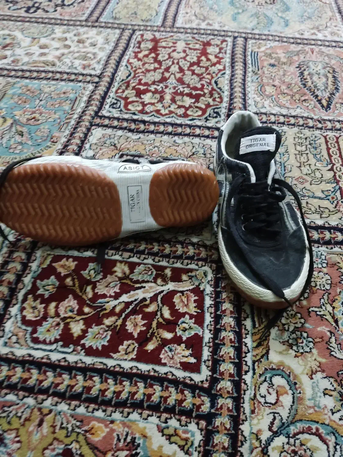 کفش تایگر اورجینال اصل سایز 41|کیف، کفش، کمربند|گنبد کاووس, |دیوار