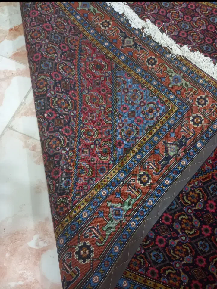 ۶ متری|فرش|اردبیل, |دیوار