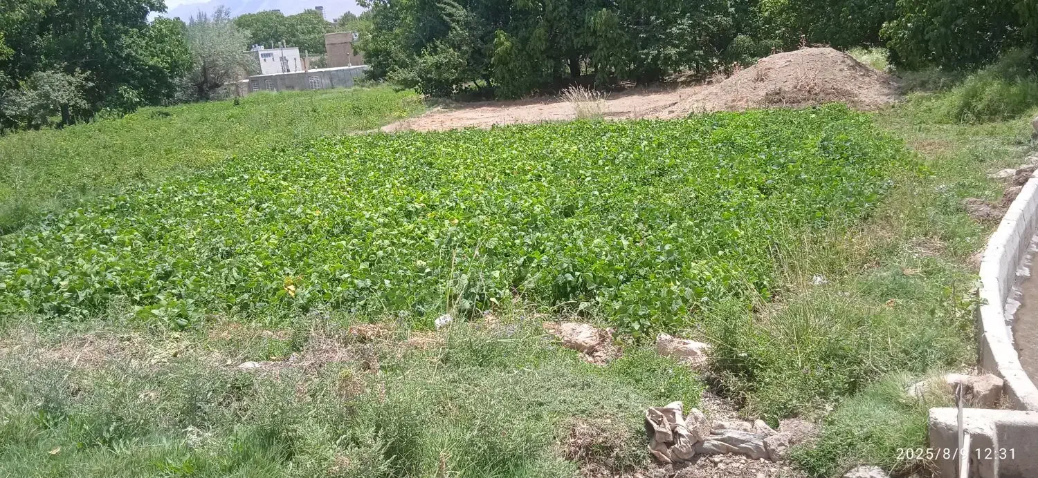 زمین فروشی|فروش زمین و ملک کلنگی|اقلید, |دیوار