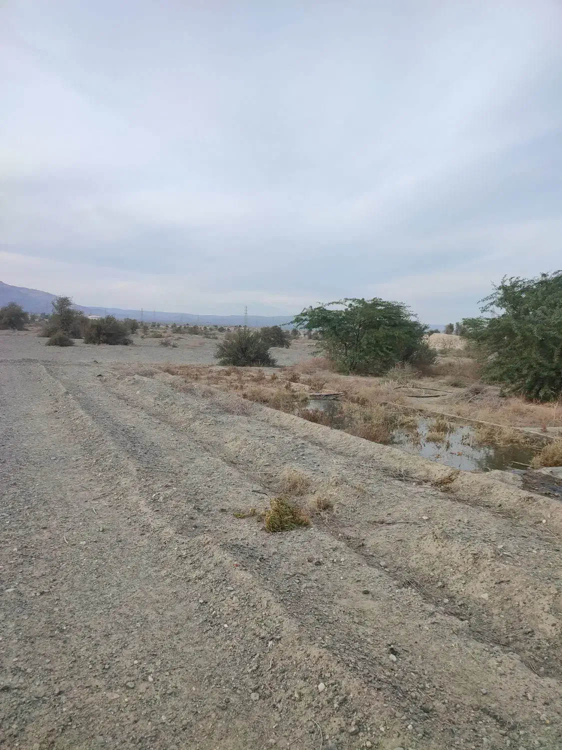 چاه کشاورزی برای اجاره کاشت گوجه پیاز یونجه و .‌‌|اجارهٔ دفتر صنعتی، کشاورزی، تجاری|کهنوج, |دیوار