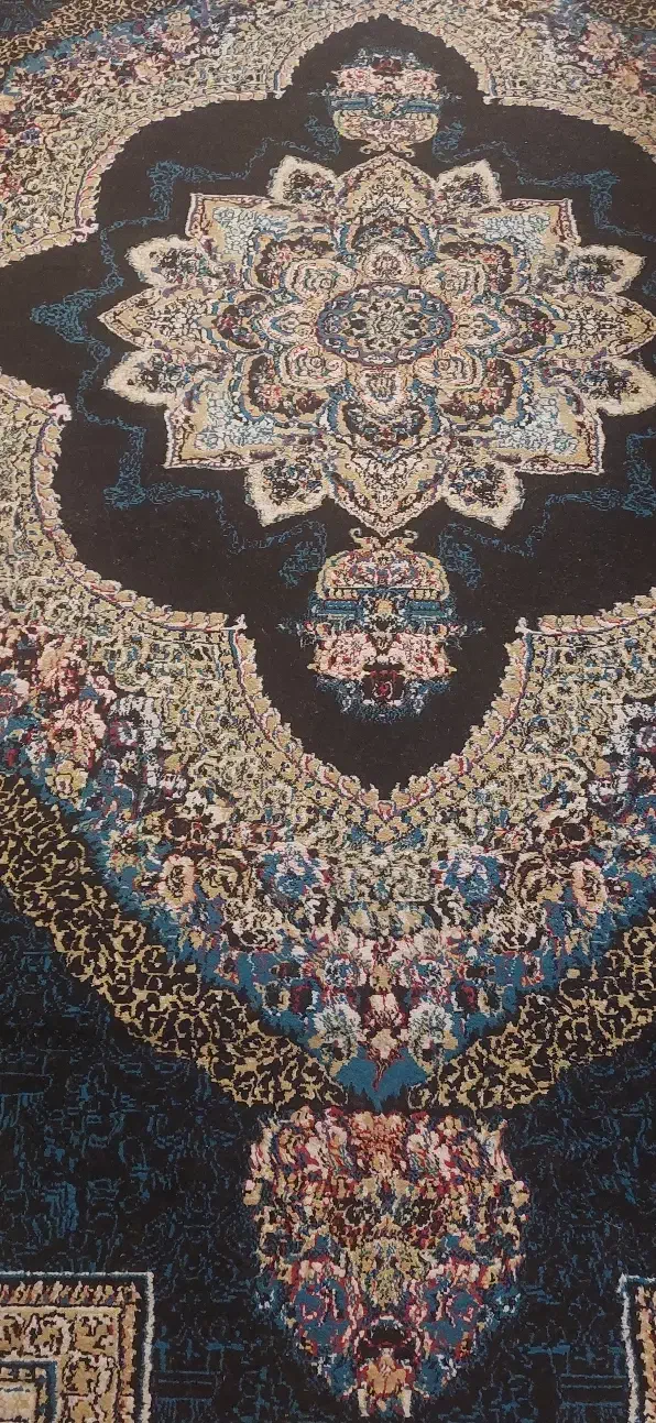 قالی ۱۲متری|فرش|شیراز, گویم|دیوار