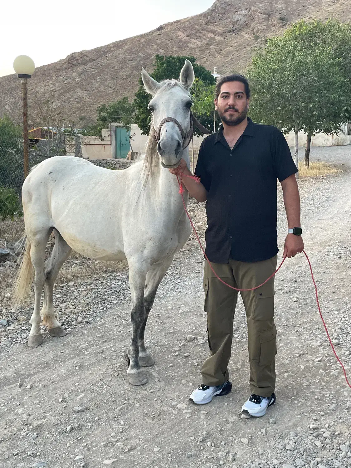 فروش اسب|اسب و تجهیزات اسبسواری|اراک, |دیوار