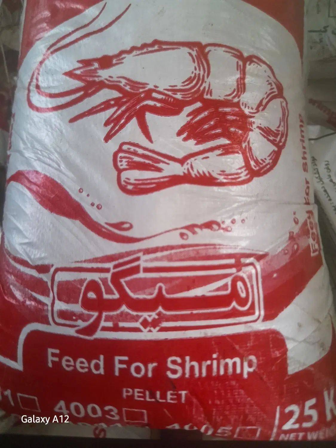 خوراک میگو|ماهی|میناب, |دیوار