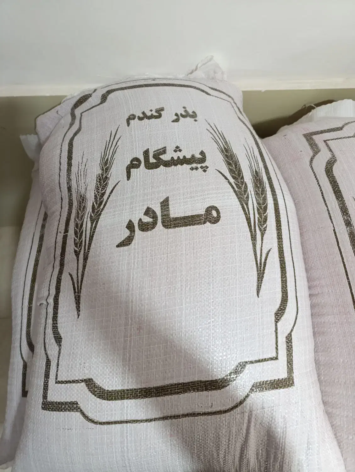 بذر گندم پیشگام مادر|عمدهفروشی|نهاوند, |دیوار
