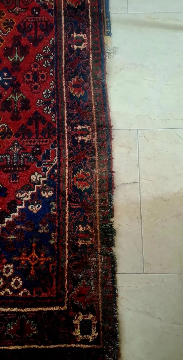 قالیچه دست بافت جوشقان کاشان|فرش|کاشان, فین کوچک|دیوار