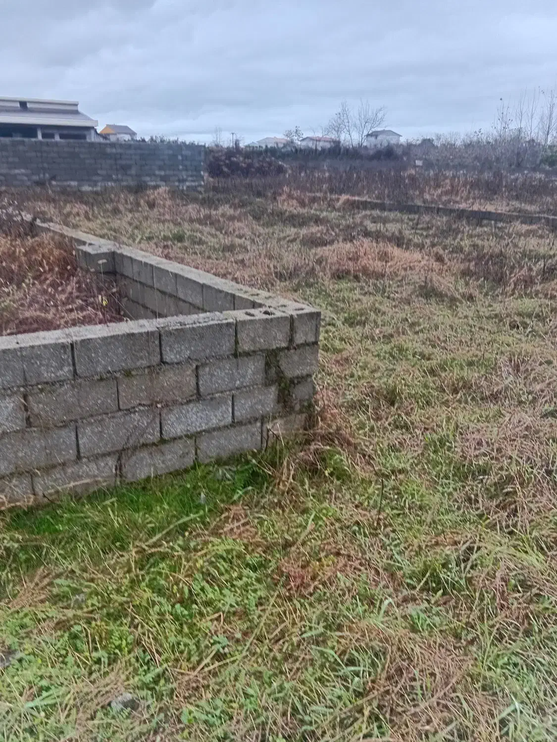 زمین باغی داخل شهر قابل ساخت منطقه ویلا سازی|فروش زمین و ملک کلنگی|رضوانشهر, |دیوار