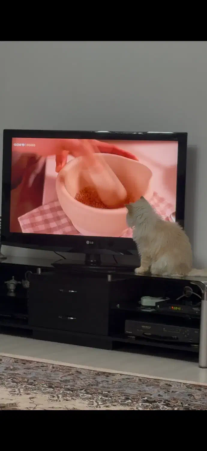 تلویزیون الجی ۵۵ اینچ|تلویزیون و پروژکتور|اردبیل, |دیوار