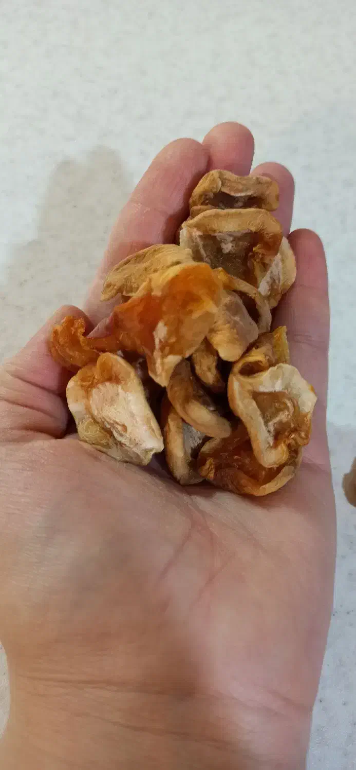 رب آلوچه .قیصی .لواشک ۷ میوه|خوردنی و آشامیدنی|نهاوند, |دیوار