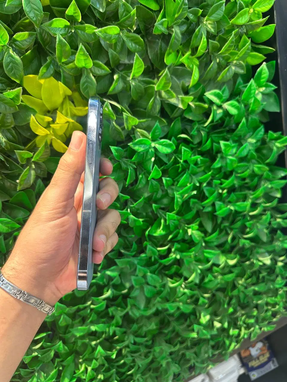 iPhone 13 مکس|موبایل|بابل, |دیوار