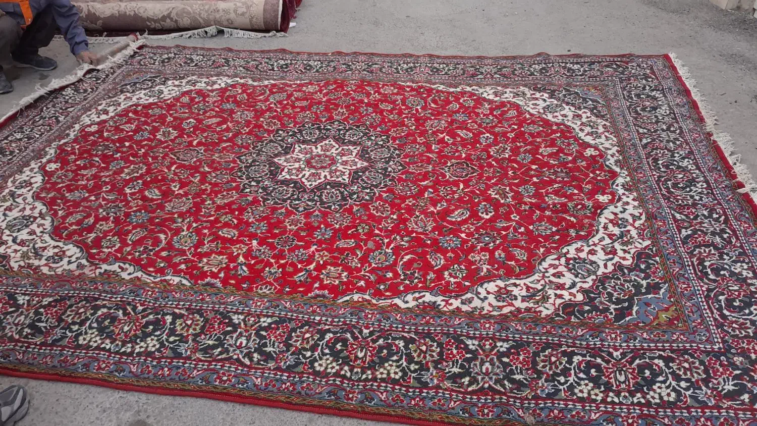 فرش ها تو این سبک و رنگ ها فقط|فرش|بندرعباس, |دیوار