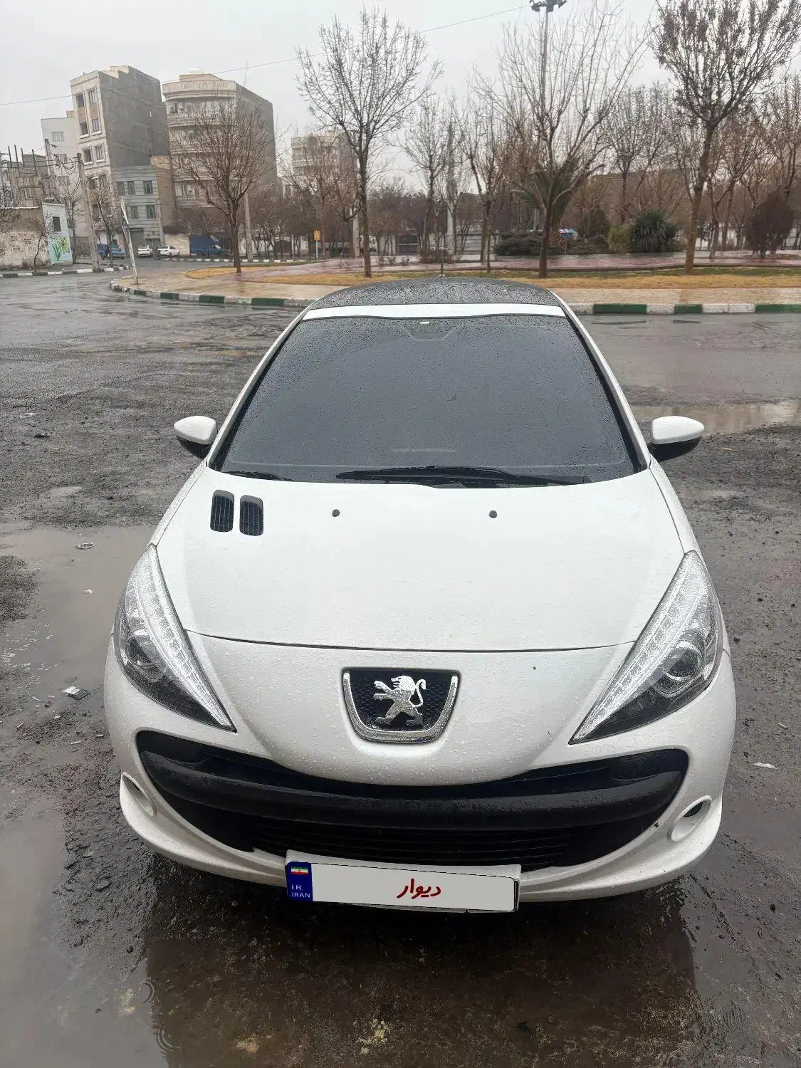 ۲۰۷ پاناروما ۴۰۰|خودرو سواری و وانت|گلستان (تهران), |دیوار