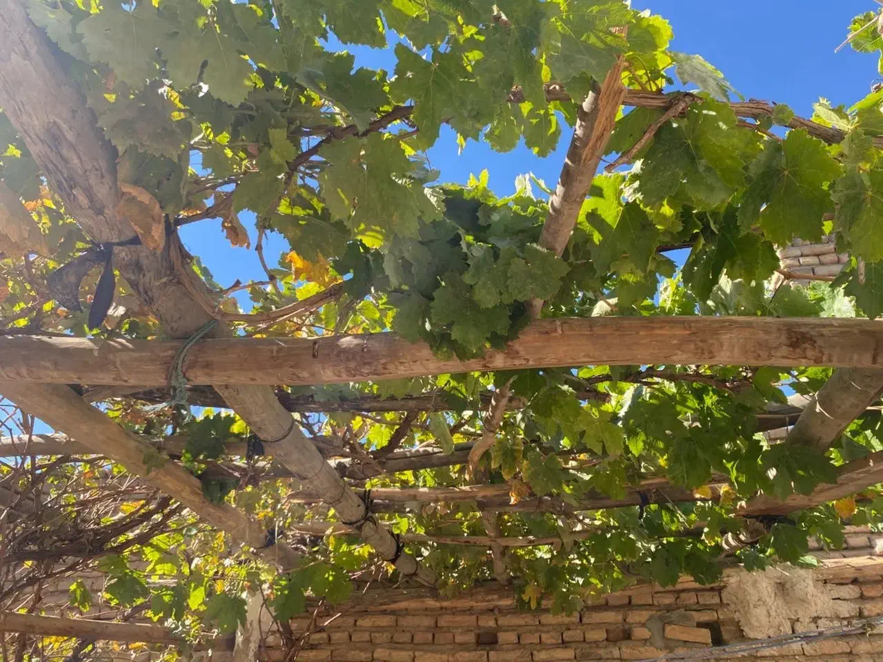 خانه ۳۰۰ متری|فروش خانه و ویلا|صالح آباد, |دیوار