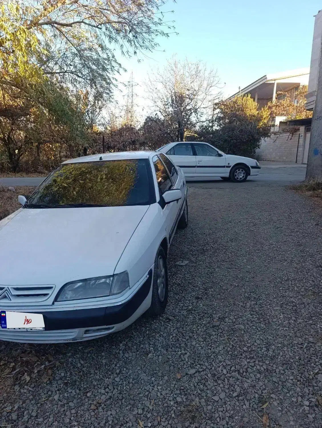 زانتیا مدل 86|خودرو سواری و وانت|رزن, |دیوار