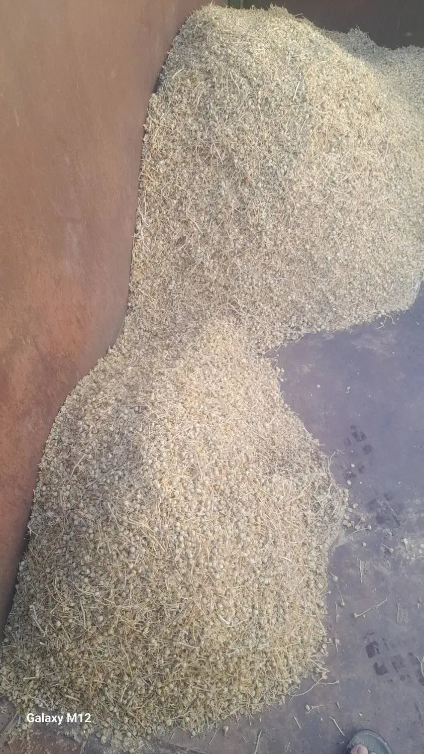 اسپند|خوردنی و آشامیدنی|سبزوار, اسلام آباد|دیوار