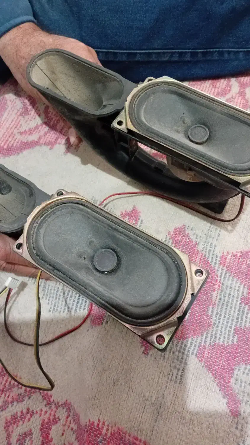 باند شیپوری|سیستم صوتی خانگی|بوشهر, |دیوار