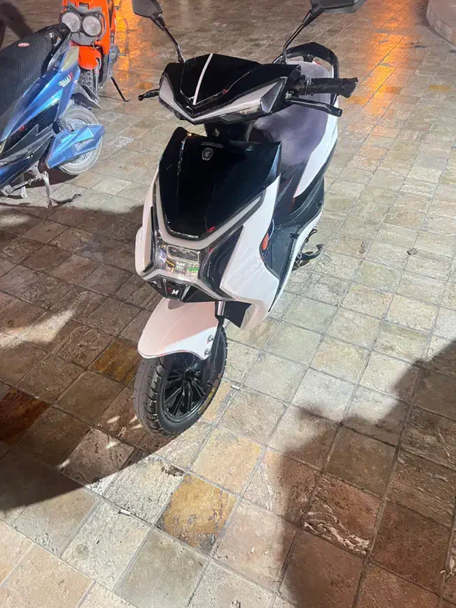 اجاره موتور ساعتی/روزانه|موتورسیکلت|کیش, |دیوار