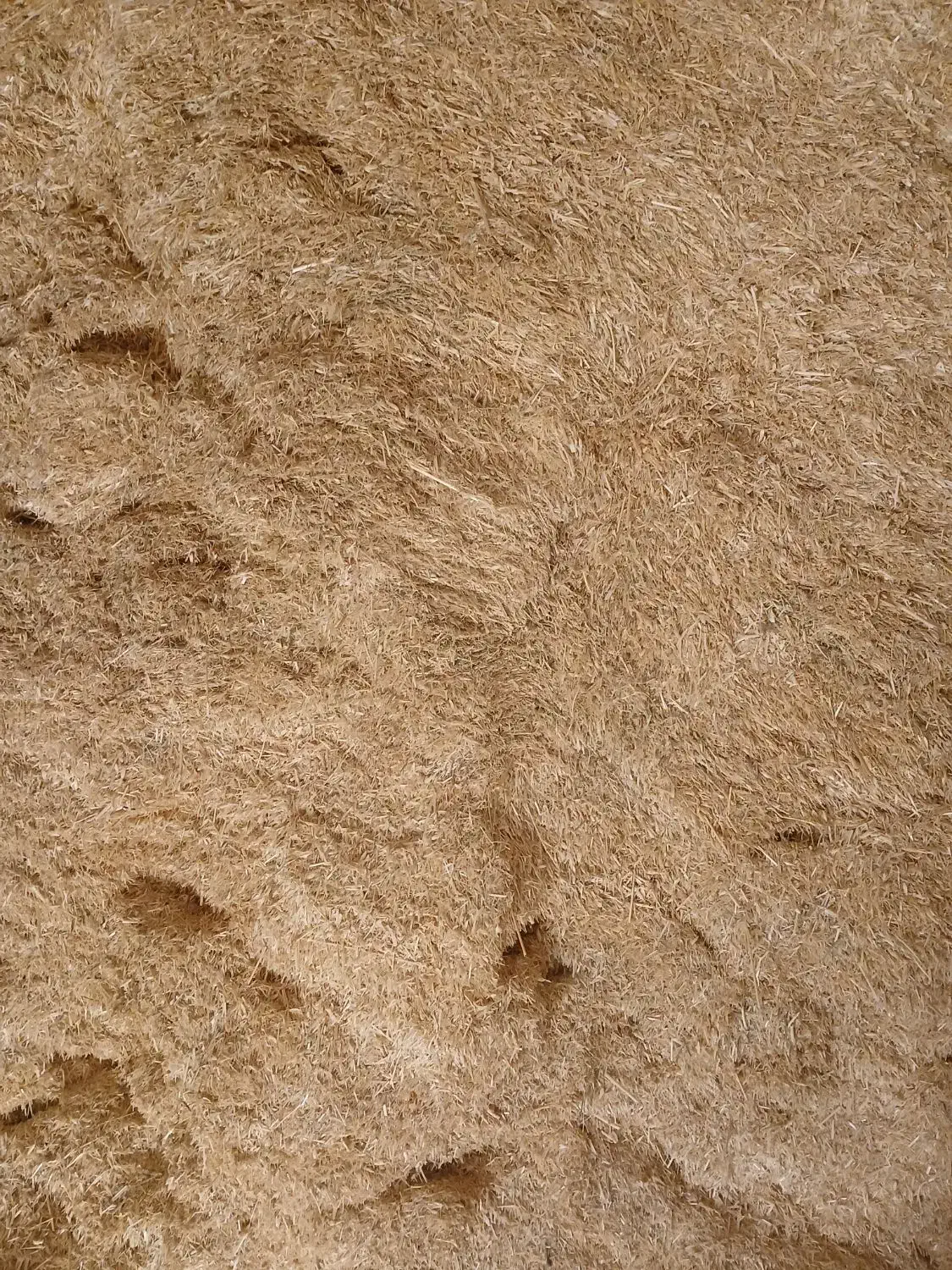 کاه|لوازم جانبی حیوانات|آبکوه, |دیوار