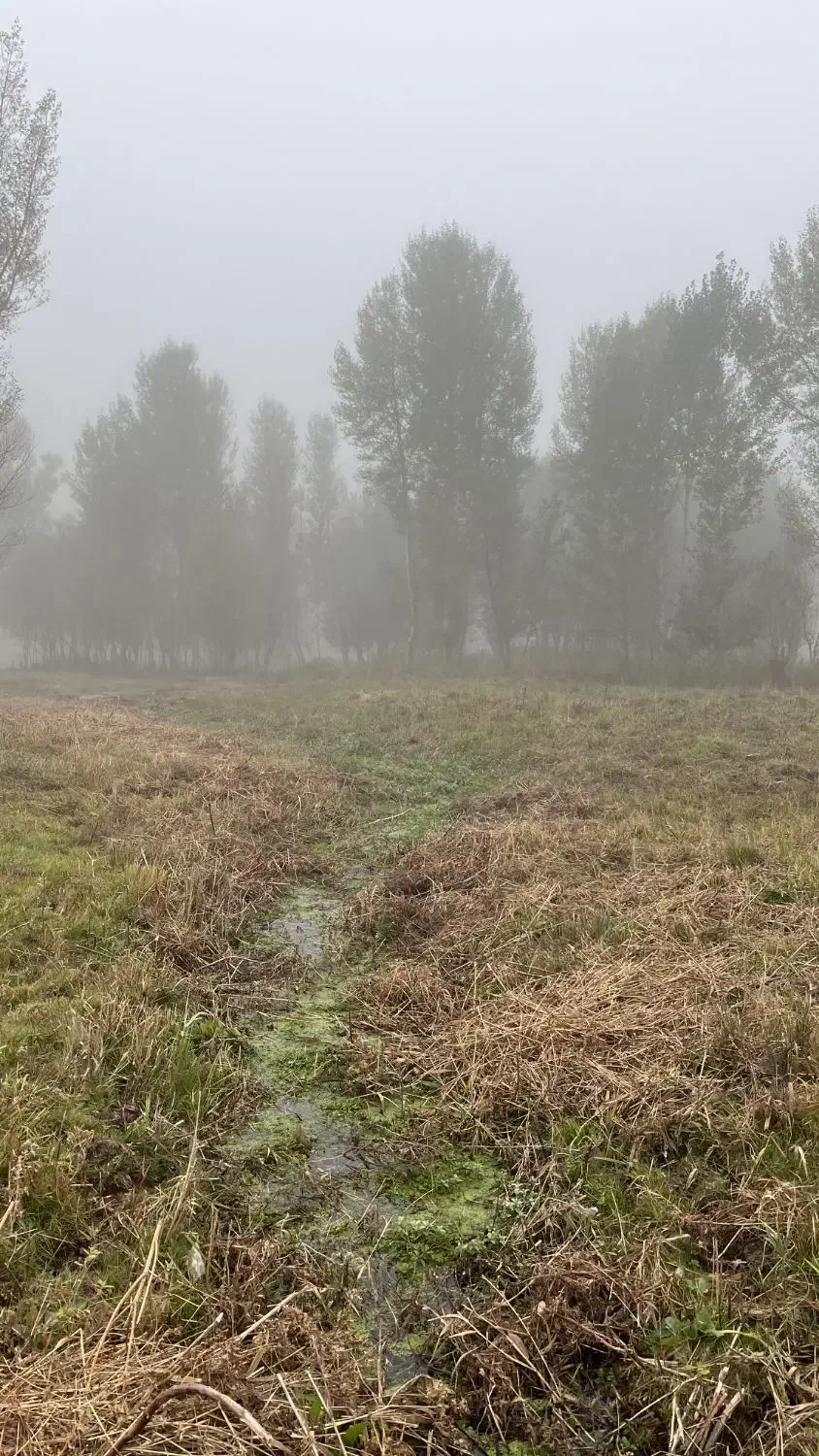 زمین باغ  در منطقه گردشگری بولاغلار نیر (اردبیل)|فروش زمین و ملک کلنگی|نیر (اردبیل), |دیوار