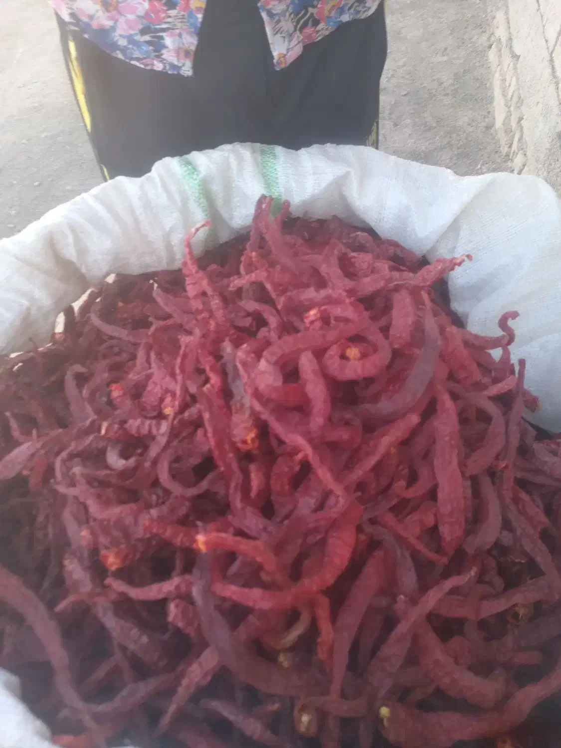 پخش فلفل قرمز قلم وپودر ارگانیک کبله|حراج|داورزن, |دیوار