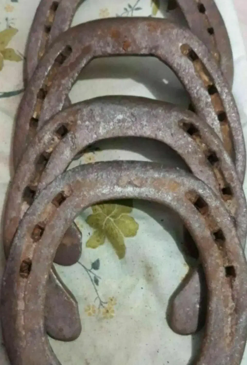 نعل اسب کهنه و پا خورده|اسب و تجهیزات اسب‌سواری|خرم‌آباد, |دیوار