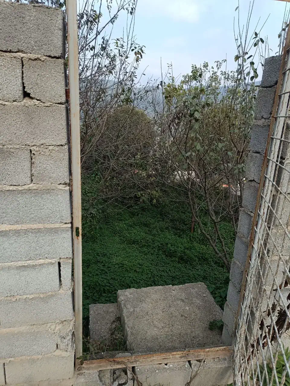 فروش زمین مسکونی|فروش زمین و ملک کلنگی|پل سفید, |دیوار