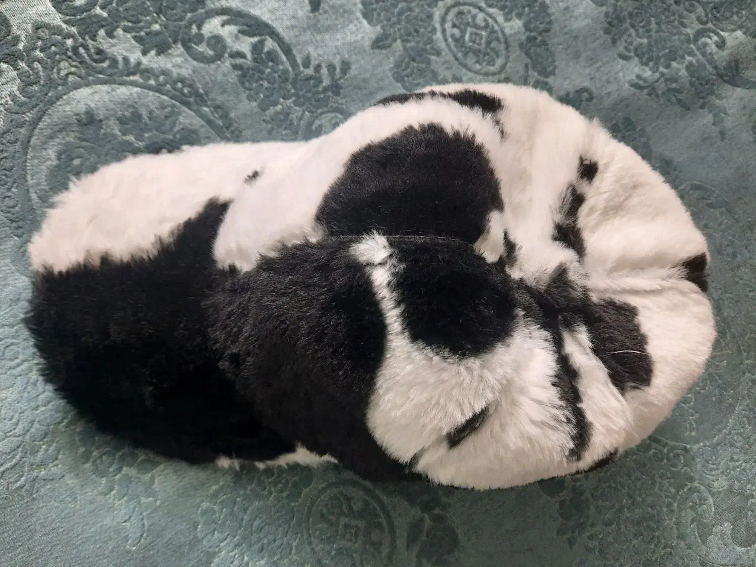 انواع کلاه رنگابارنگ|لباس|بابل, |دیوار