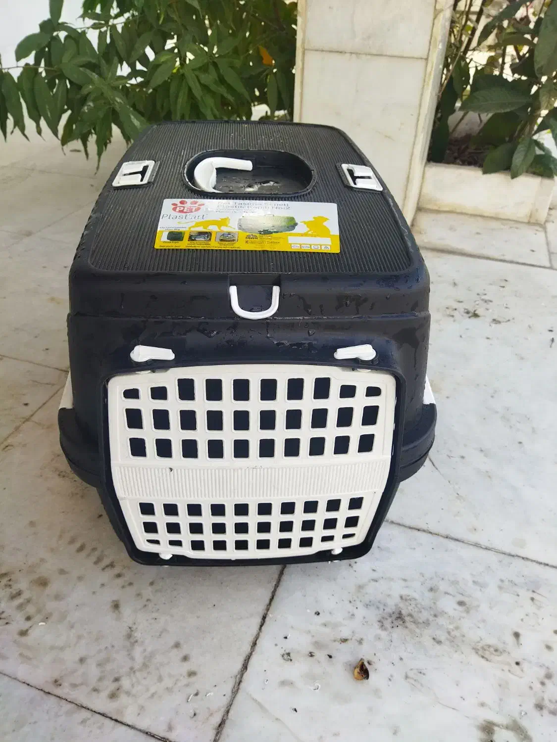 باکس سگ و گربه|لوازم جانبی حیوانات|رشت, دباغیان|دیوار