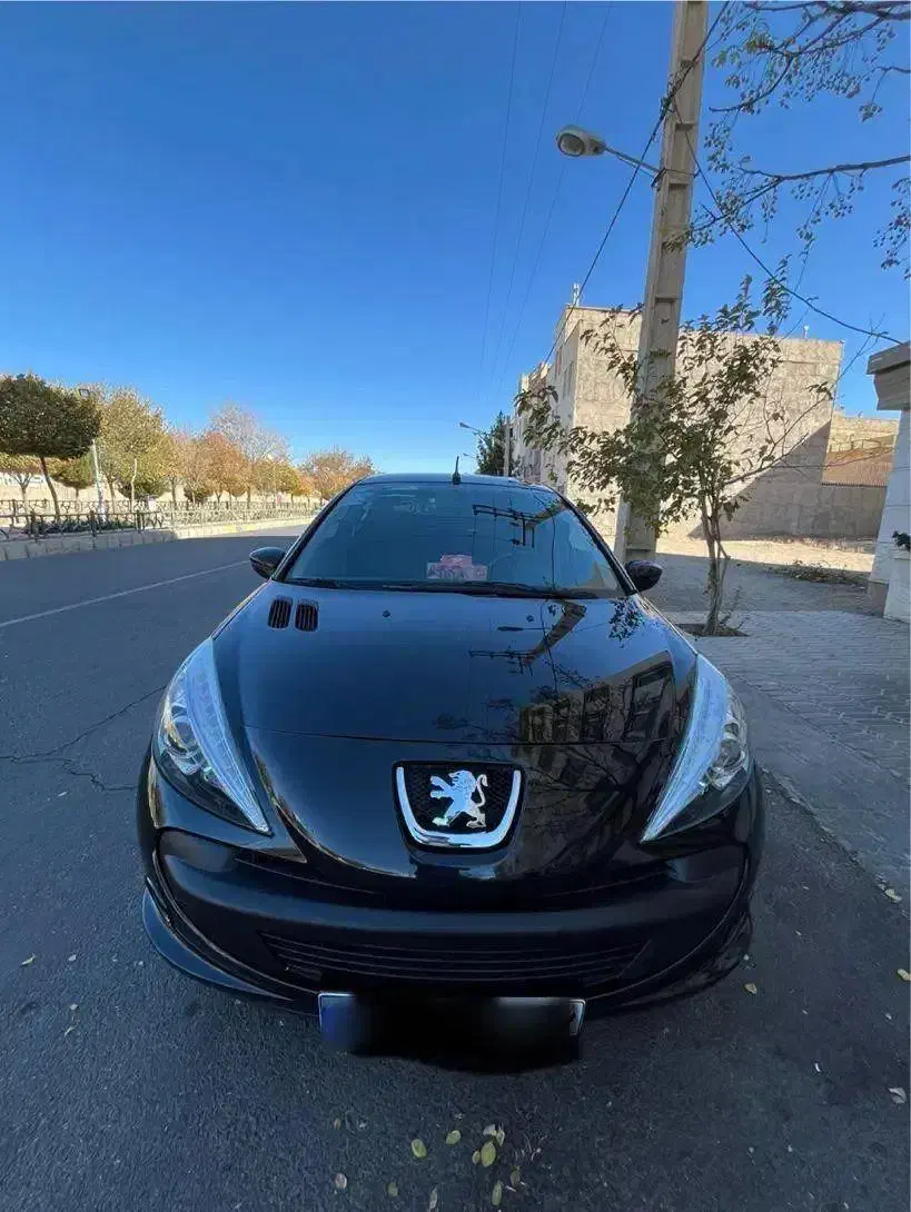 207 مدل 1401|خودرو سواری و وانت|دلیجان, |دیوار