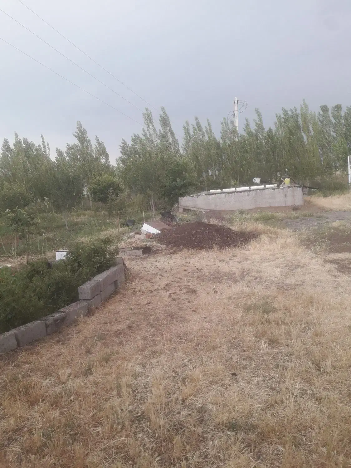 زمین باغ ویلا جاده خلخال نرسیده پلیس راه ارللو|فروش زمین و ملک کلنگی|هیر, |دیوار