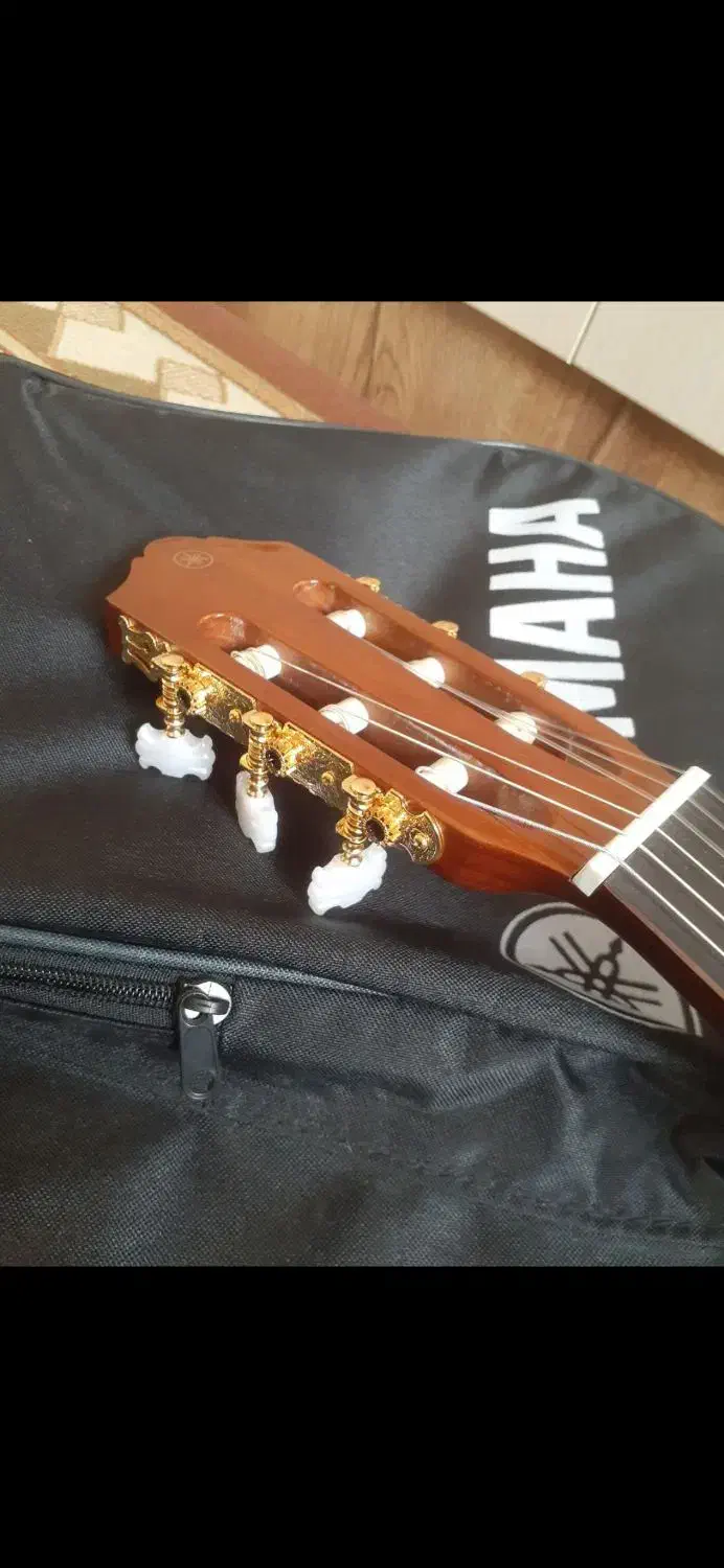 گیتار|گیتار، بیس، امپلیفایر|رشت, پیرکلاچای|دیوار