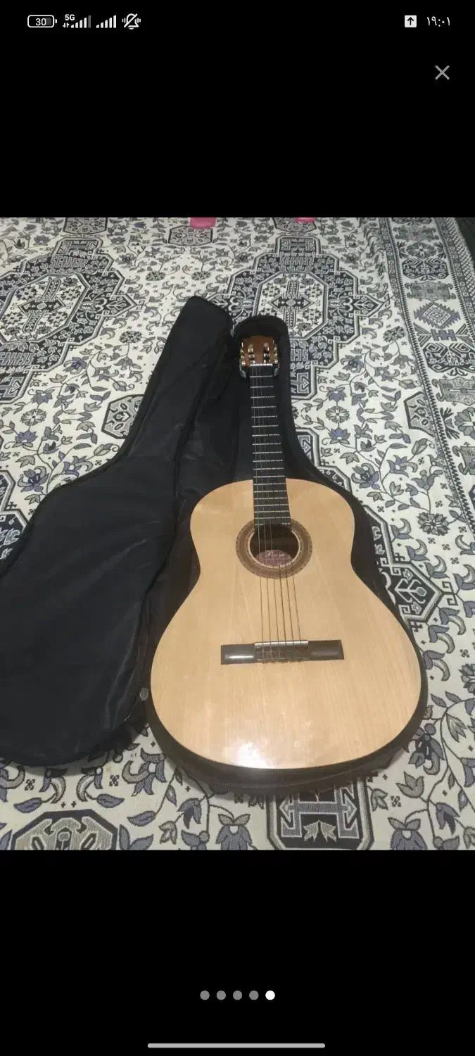 گیتار پویا حرفه ای|گیتار، بیس، امپلیفایر|خمینی‌شهر, |دیوار