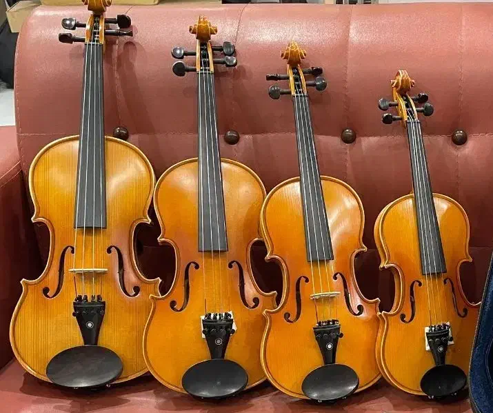 ویولن|ویولن|همدان, |دیوار