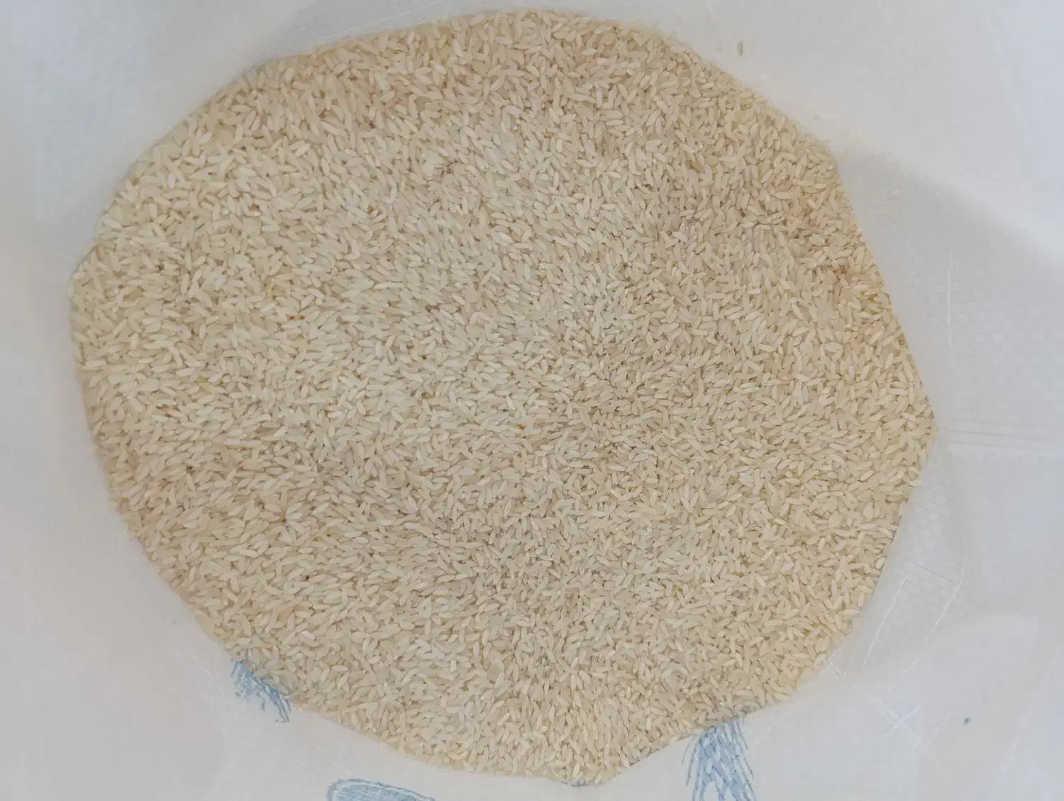 عنبربو|خوردنی و آشامیدنی|قم, هفت تیر|دیوار