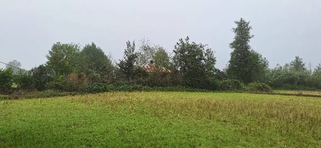 اقامتگاه بومگردی|تور و چارتر|لاهیجان, لفمجان|دیوار