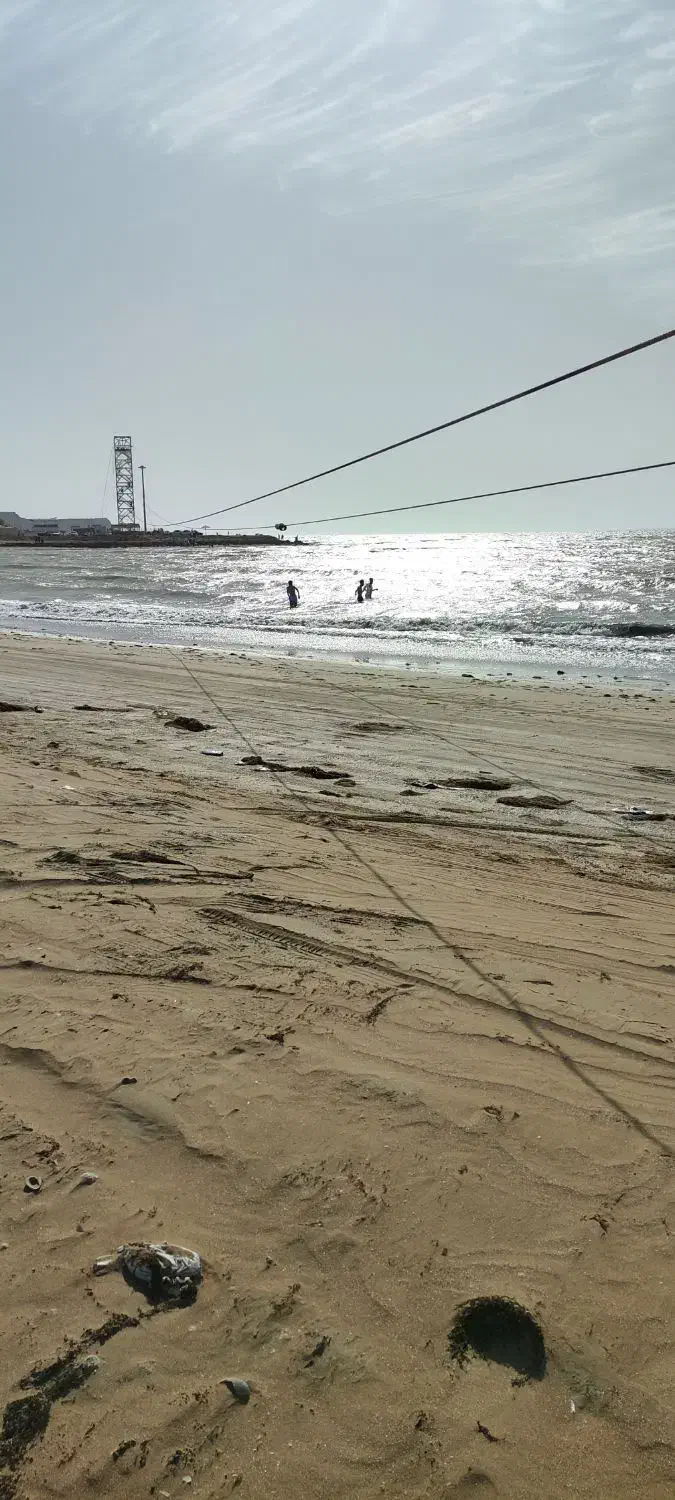 فروش مجموعه زیپ لاین و کافه رستوران با طرح مصوب|فروش دفتر صنعتی، کشاورزی، تجاری|چابهار, |دیوار