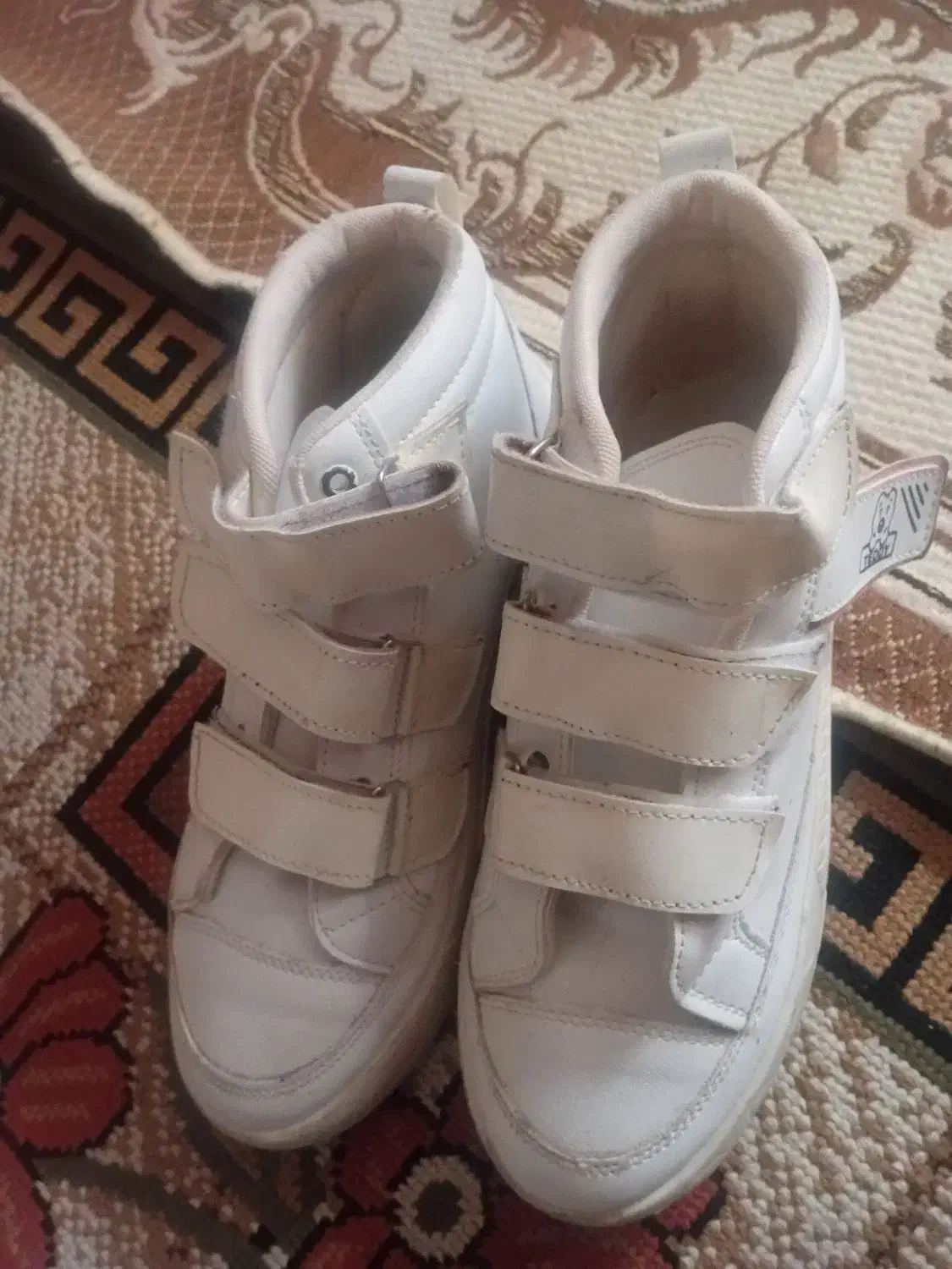 صندل|کیف، کفش، کمربند|یزد, |دیوار