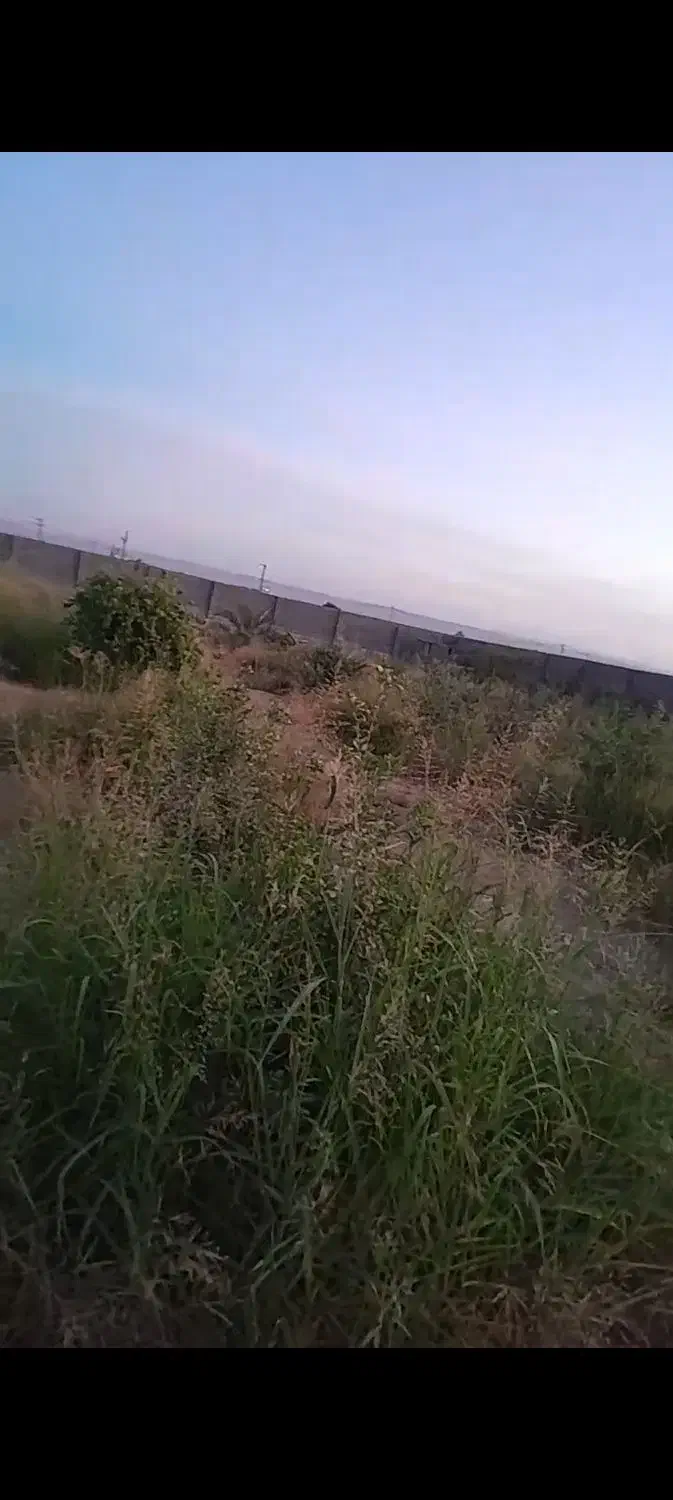 علف زنی باغ و باغچه|خدمات باغبانی و درختکاری|اندیمشک, |دیوار