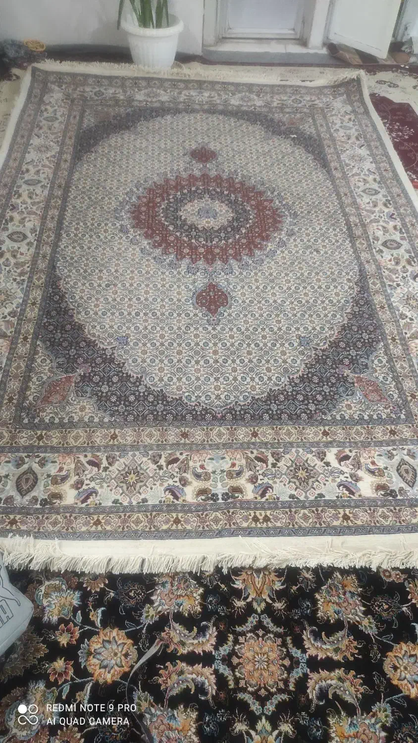 فرش شش متری دستباف|فرش|بیرجند, |دیوار