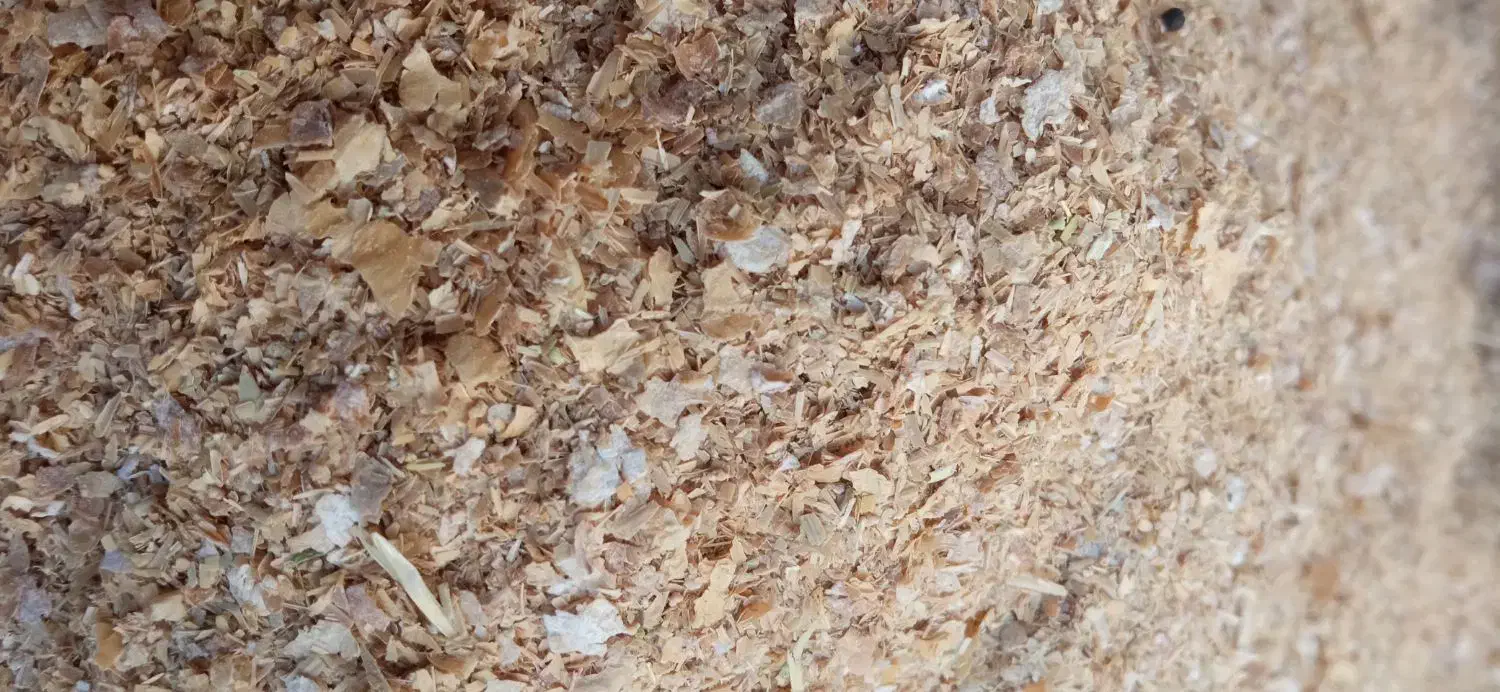 فروش سبوس گندم دامی|عمدهفروشی|کاشان, مشکات|دیوار