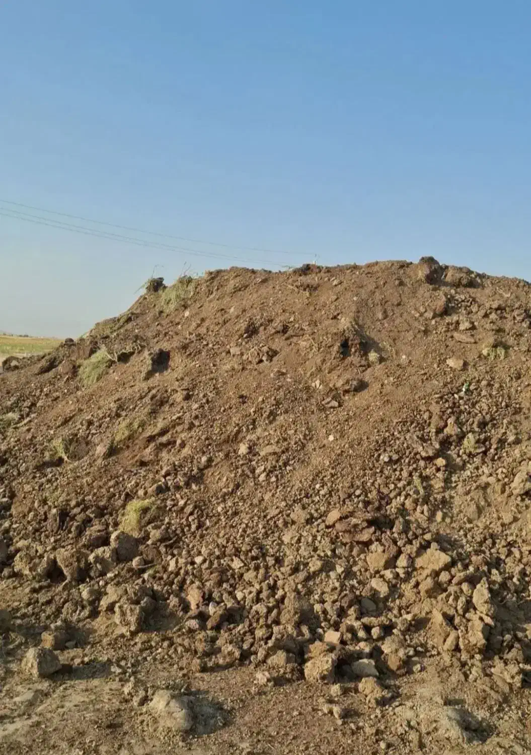 کود حیوانی هشت۸سال|خدمات باغبانی و درختکاری|ایوان, |دیوار